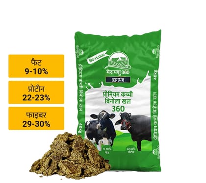 FAT15000 -40Kg - Premium Kacchi Binola Khal