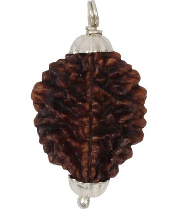 Astrodidi 2 Mukhi Rudraksha Pendant Wth Lab Certificate