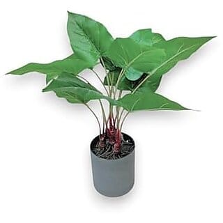 De Gardenia Artificial Philodendron Plant | 19 (48 cm) Faux Green Plant with Plastic Pot for Home and Office Decor | Natural Look Indoor Decoration