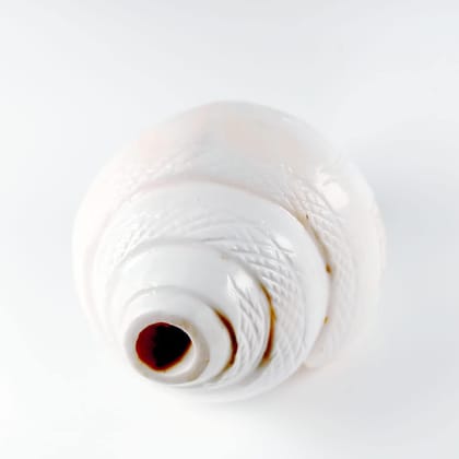 MAYAPURI Original Authentic Vamavarthi Loud Sound Blowing Shankh for Puja, Natural Pooja Bajane Wala Shankha, White Conch Shell with Engraved Design, Sangu