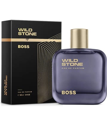 Wild Stone Eau De Parfum (EDP) Fruity -Fragrance For Men ( Pack of 1 )
