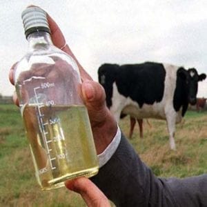 Pure And Fresh Desi Cow Urine/Gomutra 1 litre
