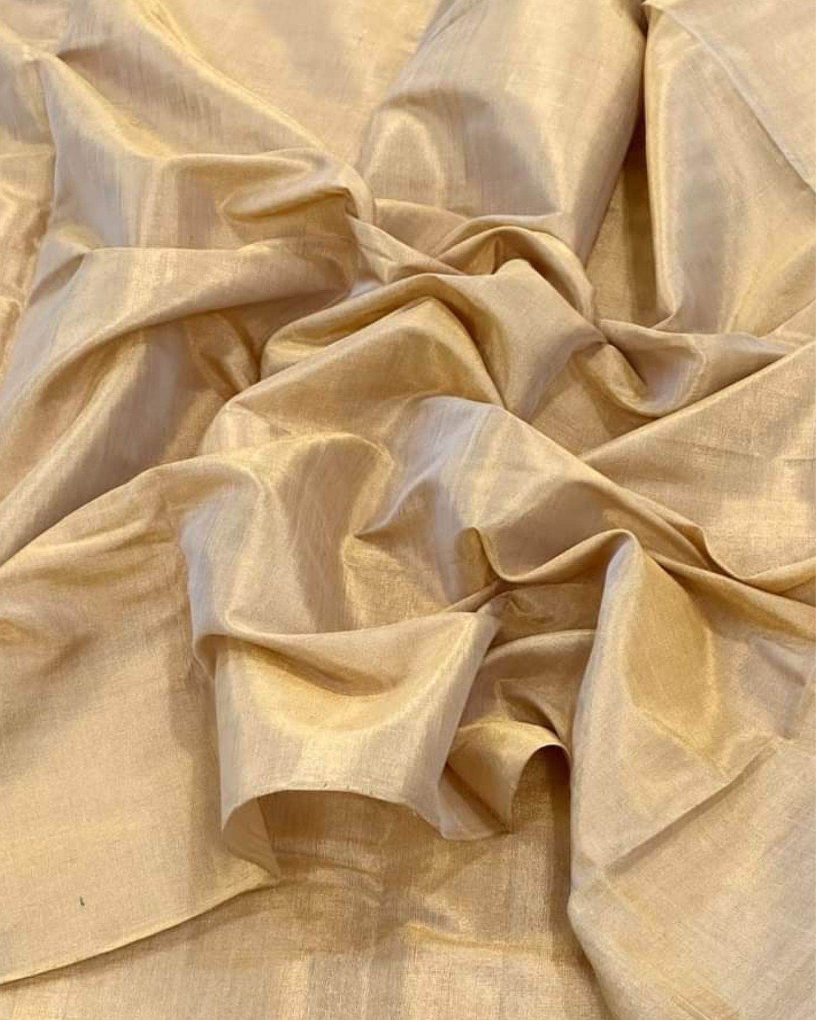 Bold Maheshwari Pure Tissue Silk Saree Beige