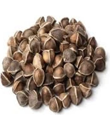 STOREFLIX Drumstick moringa sahjan ki phali Vegetable 30 high germination seeds pack