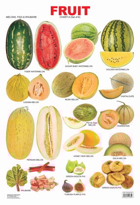 Fruit Chart - 4 Educational Wall Chart For Kids - Both Side Hard Laminated (Size 48 x 73 cm) [Poster] Dreamland Publications [Poster] Dreamland Publications