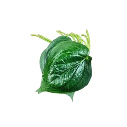Betel leaf or paan leaf - 100 gm