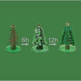 DIY Christmas & New Year Magic Growing Tree - Gift Set, Kids, Office & Home Decor