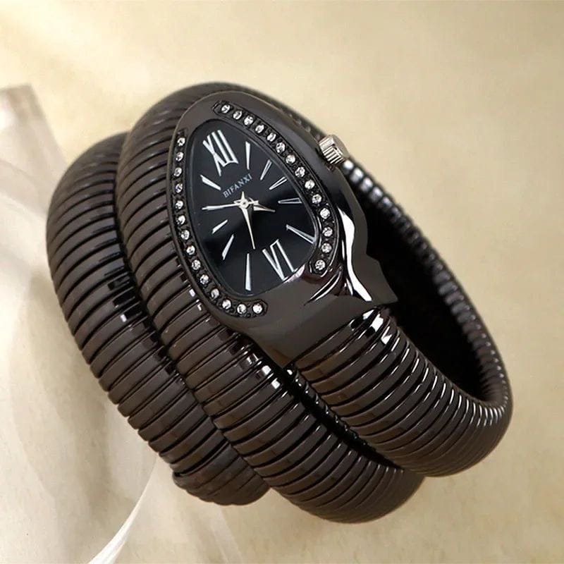 Bifanxi watch-Stainless Steel / Black