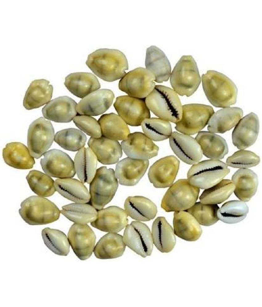 Astrodidi Yellow Kaudi Peeli Cowrie Kawdi Kowdi For Lakshmi Pooja (21 Pieces)