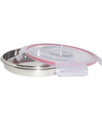 Dynore Silver Stainless Steel Lunch Box