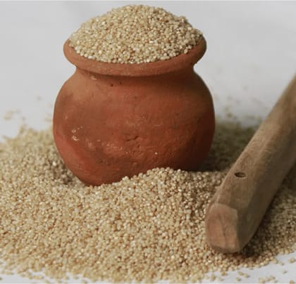 Samai / Little Millet 500 gm