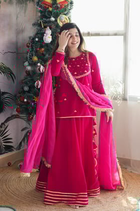 Raeth Pink Velvet Short Shirt Lehenga-L-XL