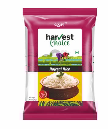 Harvest Choice Rajrani Rice – 5kg | Premium Quality, Aromatic & Fluffy | Non-Sticky & Hygienically Packed