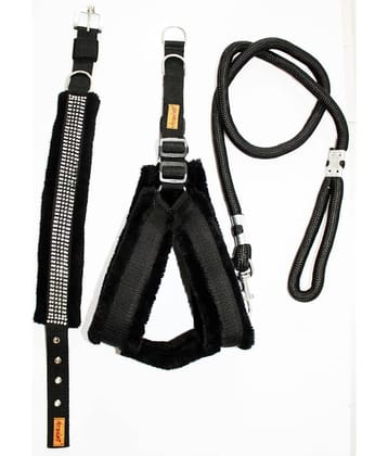 Petshop7 - Black Dog Combo (Medium)