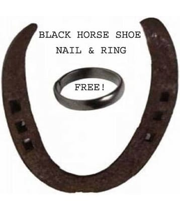 Shri Astha Vinayak Iron Horse Shoe Ring