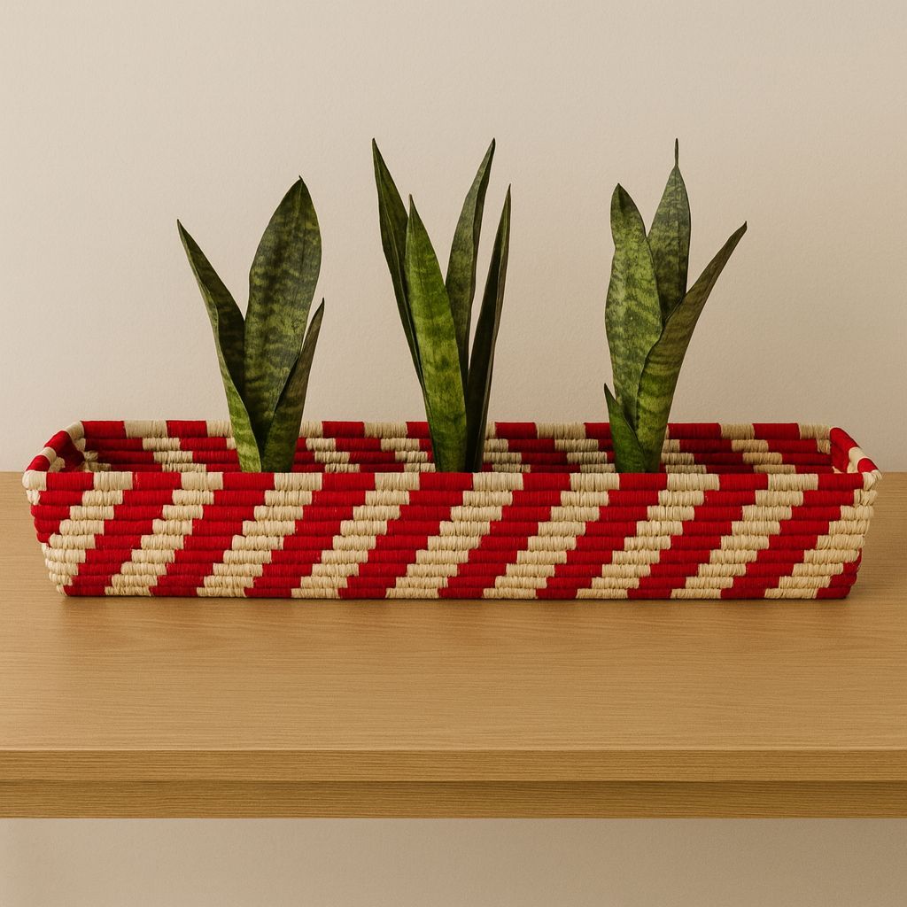 Tiger Grass Striped Elegance Long Planter