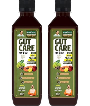 Jeena Sikho Gut Care Juice | Ayurvedic Cleanse for Digestion & Detox  (Pack of 2, 500 ml)
