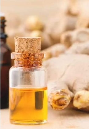 Ginger Hydrosol Extract (100gms)