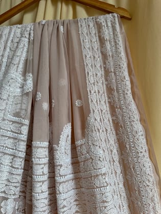 Georgette Chikankari saree in Pale Pink-Pale Pink