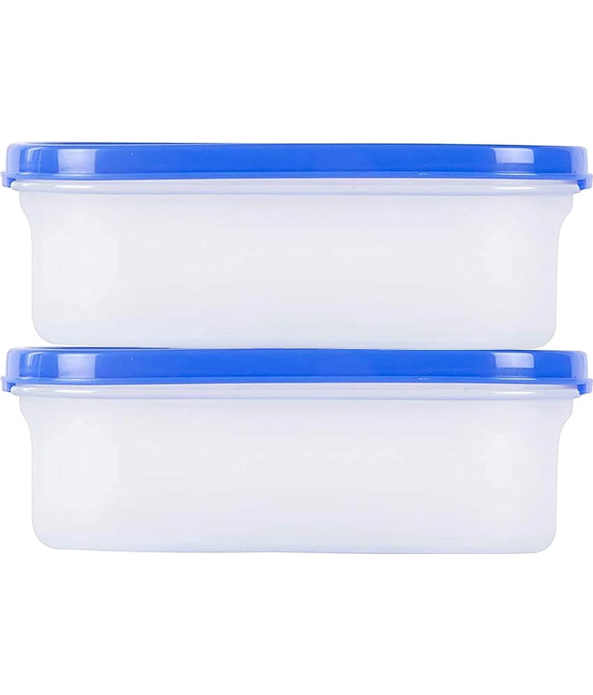 iview kitchenware Plastic Multi-Purpose Food Container, 500ml (2U)