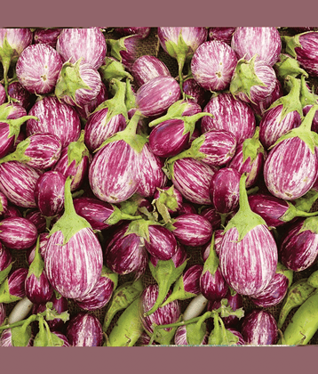 homeagro - Brinjal Vegetable ( 100 Seeds )