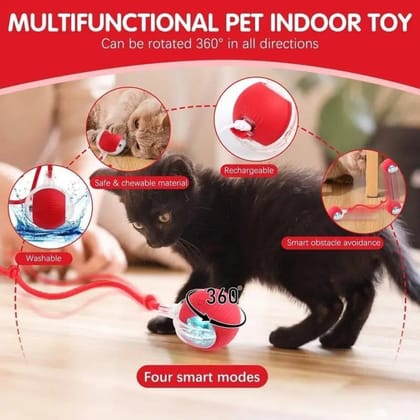 Self-Moving Cat Toy | 360° Smart Automatic Electric Toy for Cats & Dogs | Chewie Viral Pet Ball | Automatic Cat Chasing & Teaser Ball | Self-Moving Interactive Toy for Pets (Original Series)