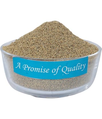 My God Gift MyGodGift Ajmoda Seeds Apium Graveolens Wild celery Seeds (100 g) 100 gm