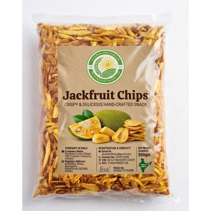JACKFRUIT CHIPS - 500 gm - One packet of chips