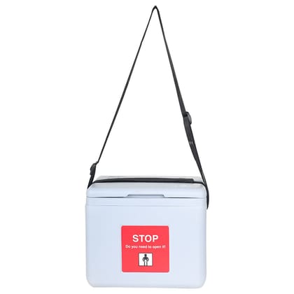 FAIRBIZPS Mini Vaccine Carrier Box with 2 Ice Pack Small Vaccine Storage Box (0.90 LTR) Grey