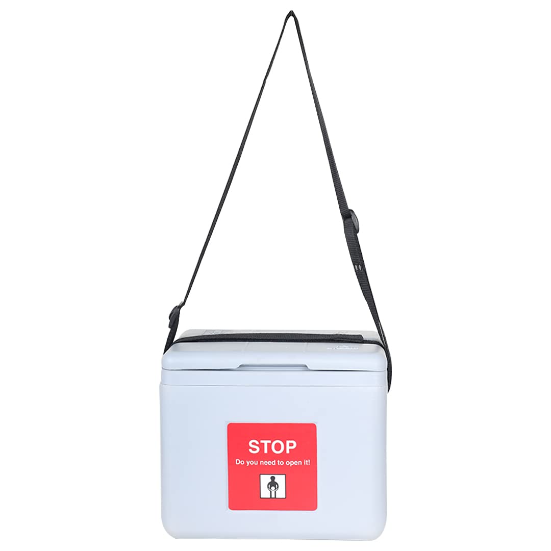 FAIRBIZPS Mini Vaccine Carrier Box with 2 Ice Pack Small Vaccine Storage Box (0.90 LTR) Grey