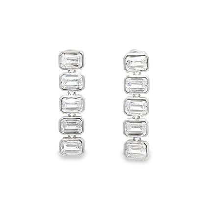 Earrings 172