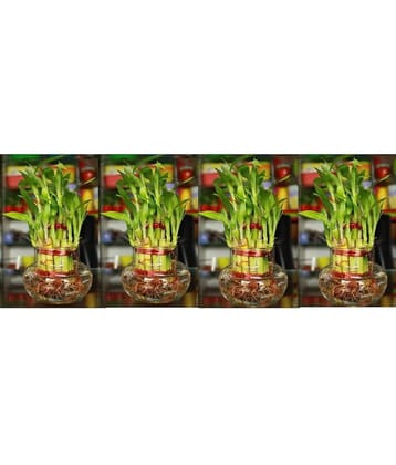 Green plant indoor - Green Wild Artificial Flowers With Pot ( Pack of 4 )