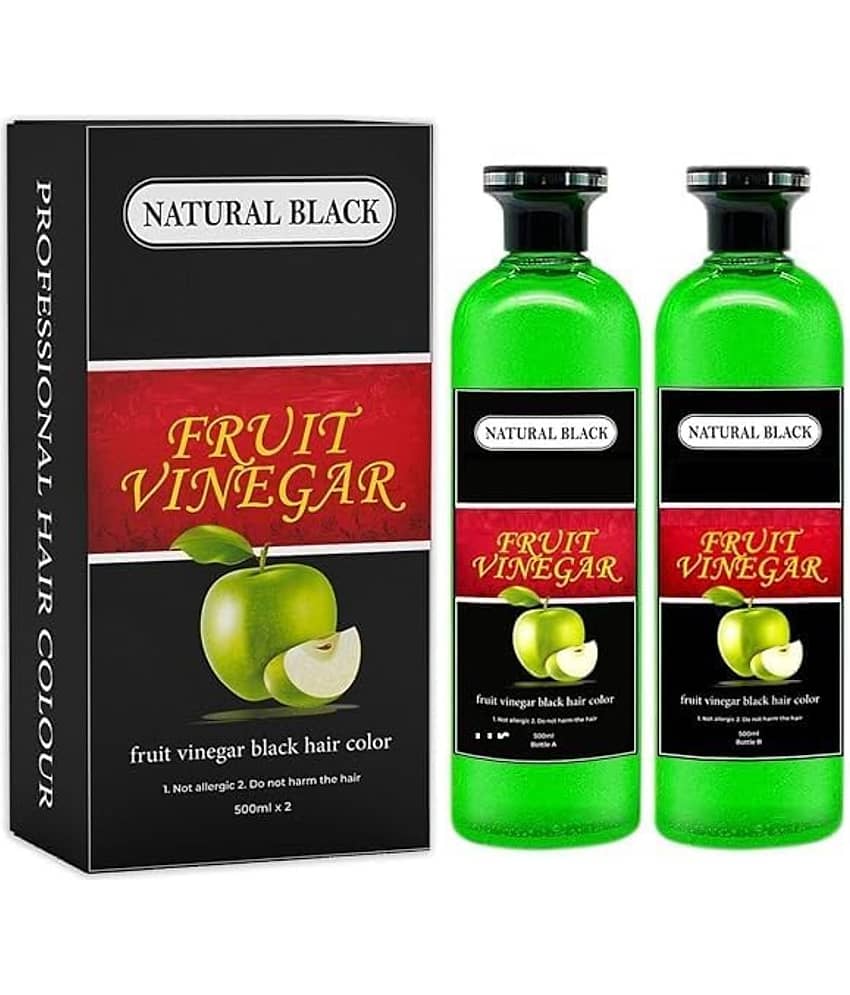 WRIXTY Fruit Vinegar Black Hair Colour Gel 500ml Instant Smooth Silky Hair Quick Result Long Lasting