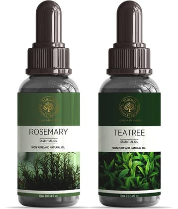 Maruti Natural Fragrances - Rosemary Essential Oil 20 g ( Pack of 2 )