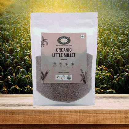 Little Millet Grain Little Millet Grain