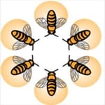 AANCHAL MADHU UTPADAK SWAYAT SEHKARITA