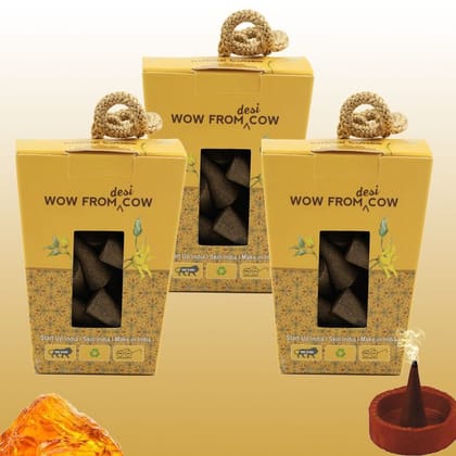 Nandi Panchgavya 100 Percent Cow Dung Amber Dhoop Cones (150 Pcs)