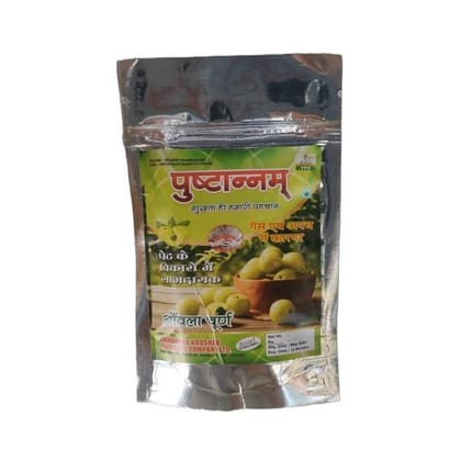 Amla Powder - 100 gm - 1 Pack