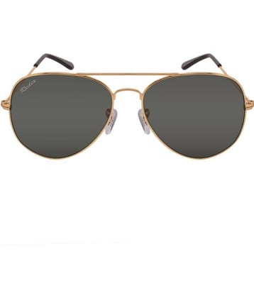 Redex Gold Pilot Sunglasses ( Pack of 1 )