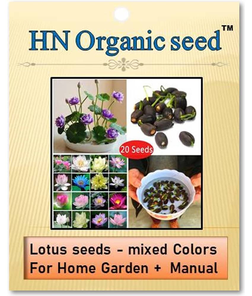 homeagro - Flower Seeds ( Lotus seeds -mixed colours 20 seeds )