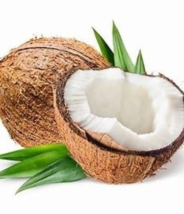 Cooking Coconut  Fresh & High-Quality - Nariyal - Naral - 1Pc