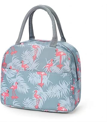 FSN - Multicolor Fabric Lunch Bag