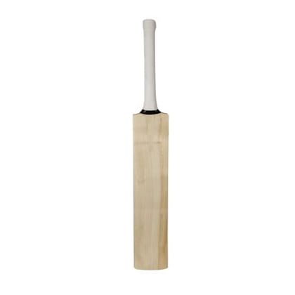 Aver Sweep Kashmiri Willow Cricket Bat