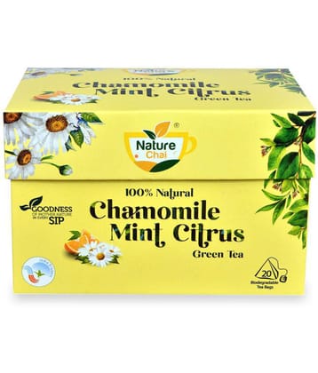 NATURE CHAI Chamomile Tea Bags 100 gm