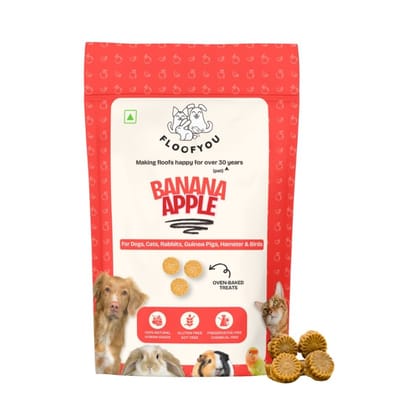 FloofYou Oven Baked Banana Apple Small Animal Treats 120g