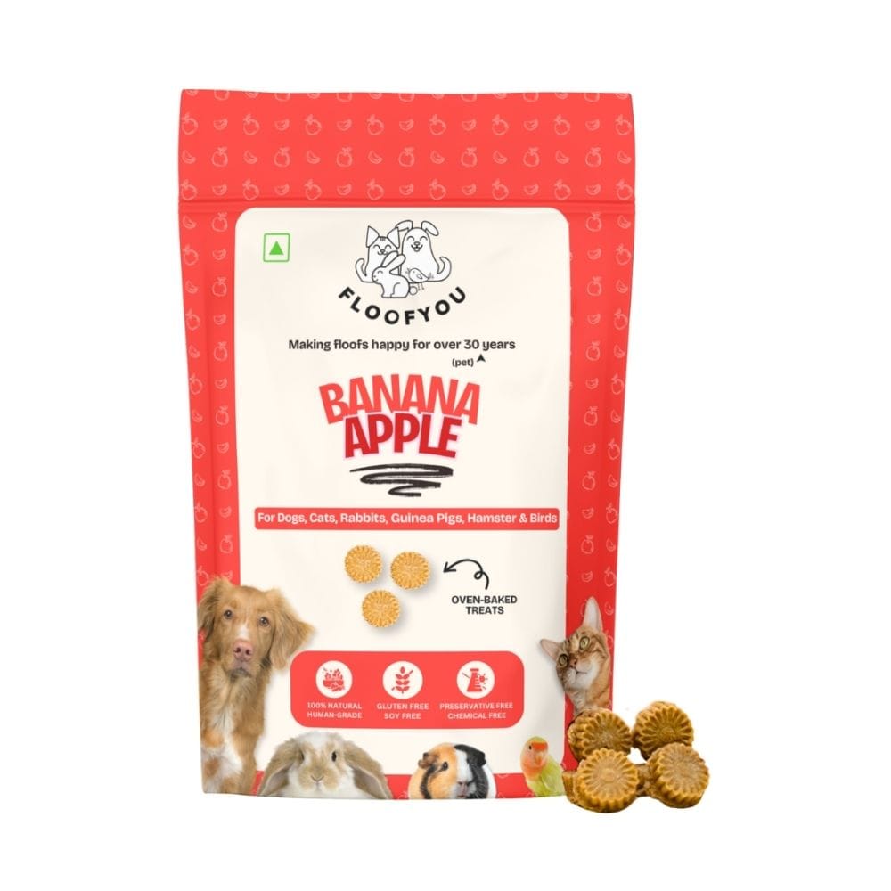 FloofYou Oven Baked Banana Apple Small Animal Treats 120g