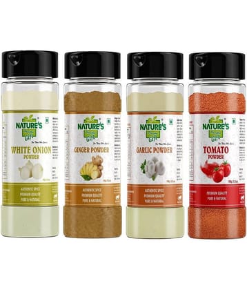 Natures Gift - 100 gm Ginger powder (Pack of 4)