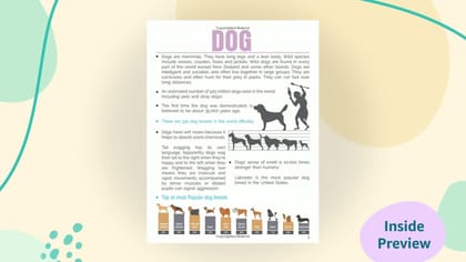 Animals and Birds Minipedia for Kids Age 5-15 years [Paperback] Dreamland Publications [Paperback] Dreamland Publications