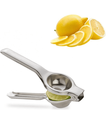 VillWin Stainless Steel Silver Squeezer ( Pack of 1 )