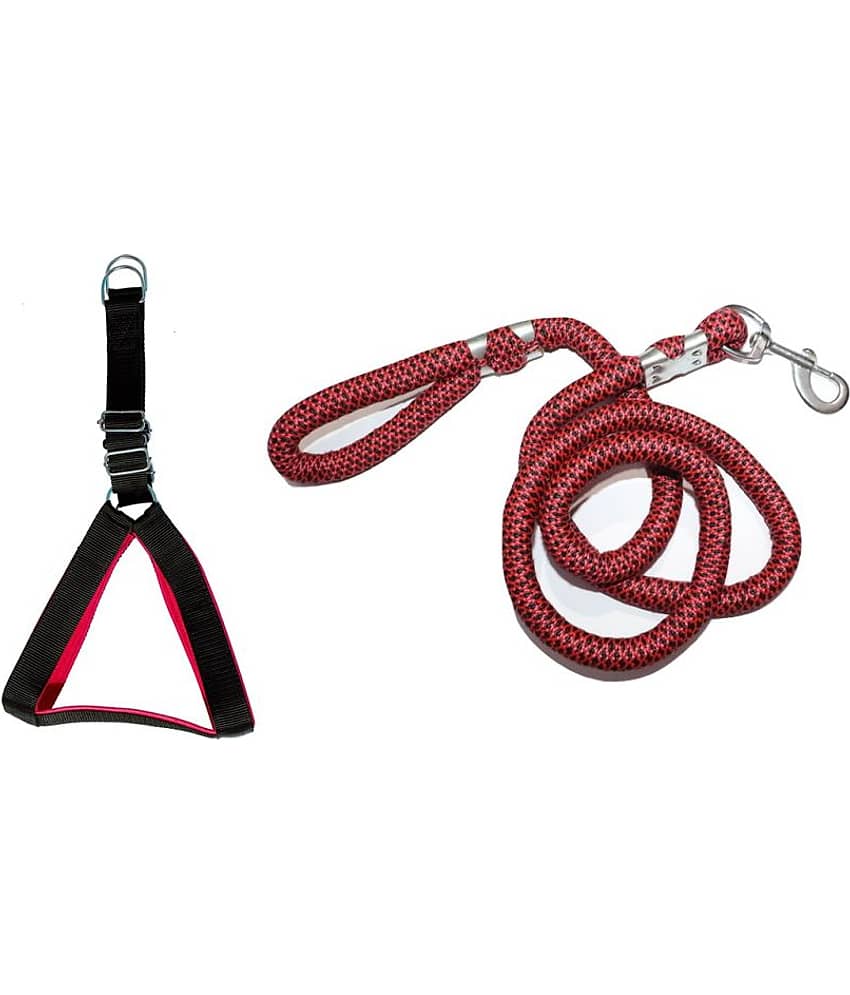 Tame Love Padded Harness and Leash for Adult Dogs of All Breeds (Blue Color - 1.25 inches)